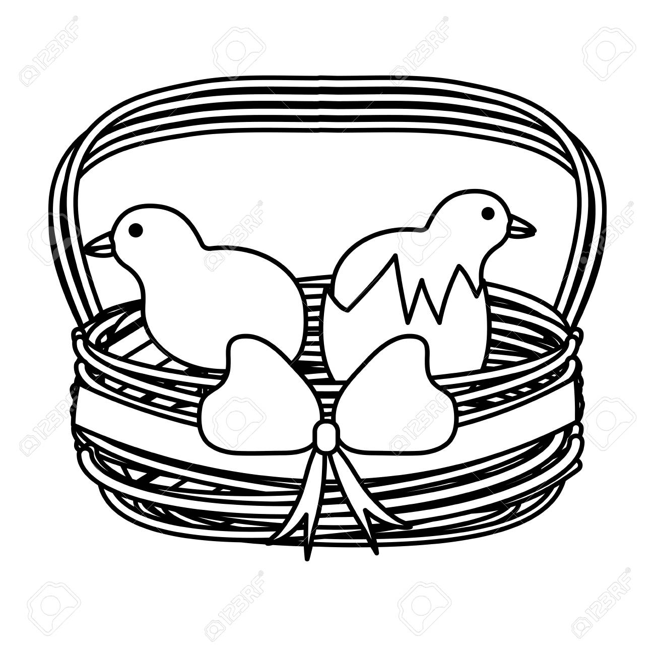 basket bird