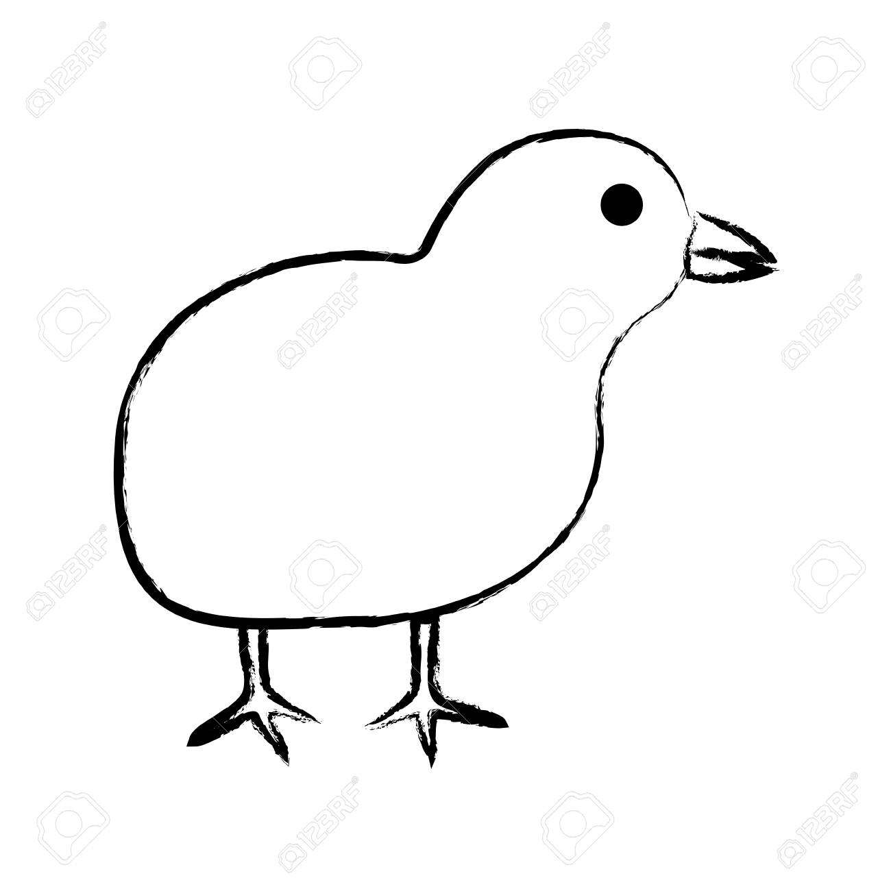 cute chicken or chick