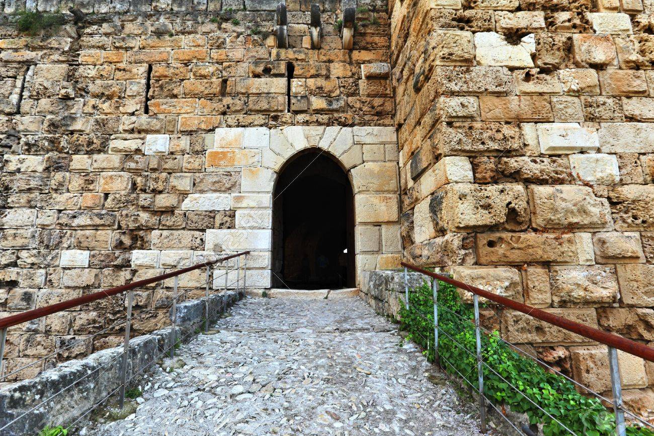 etiam-dictum-ipsum-a-felis