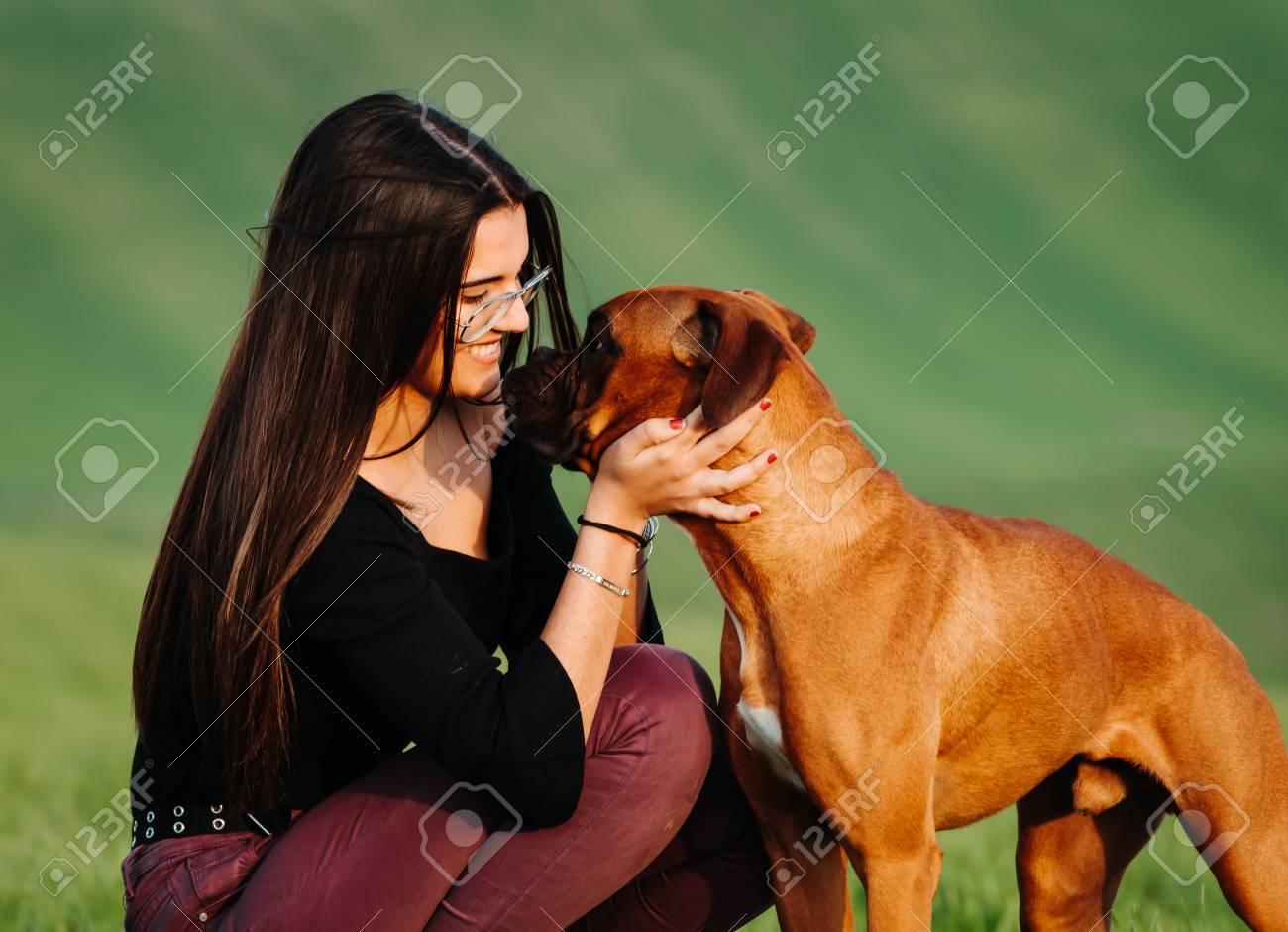 Girl Loving Her Boxer Dog In The Green Meadow Stock Photo, Picture And Royalty Free Image. Image 121368791.