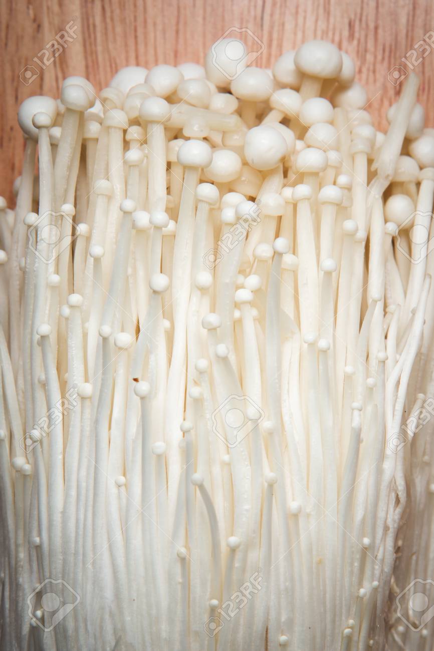 close up pile of needle mushroom as a background - 70196268 close up pile of needle mushroom as a background - 70196268