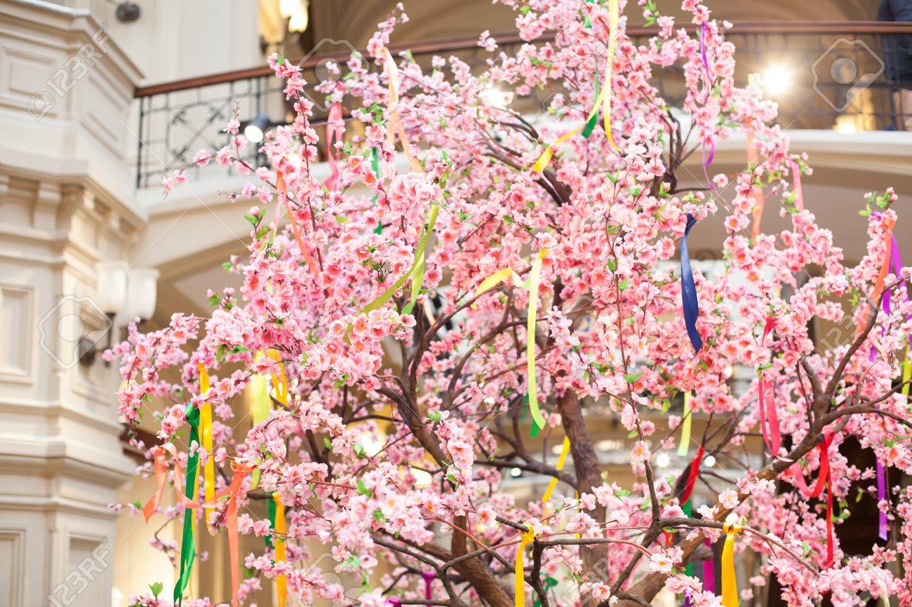 Arbre Fleurs Printanières Fleurs Blanches Rose