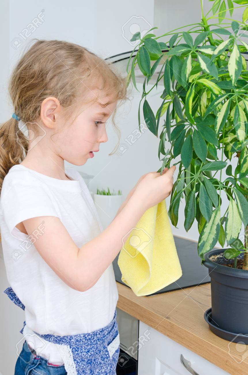 花葉から小さな女の子のおしりふきほこり の写真素材 画像素材 Image 花葉から小さな女の子のおしりふきほこり の写真素材 画像素材 Image