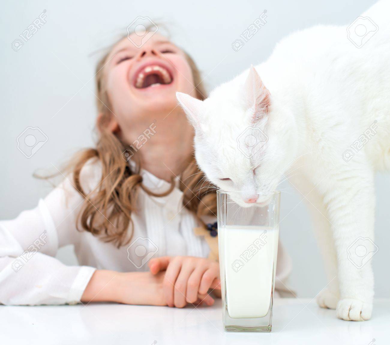 cat having milk