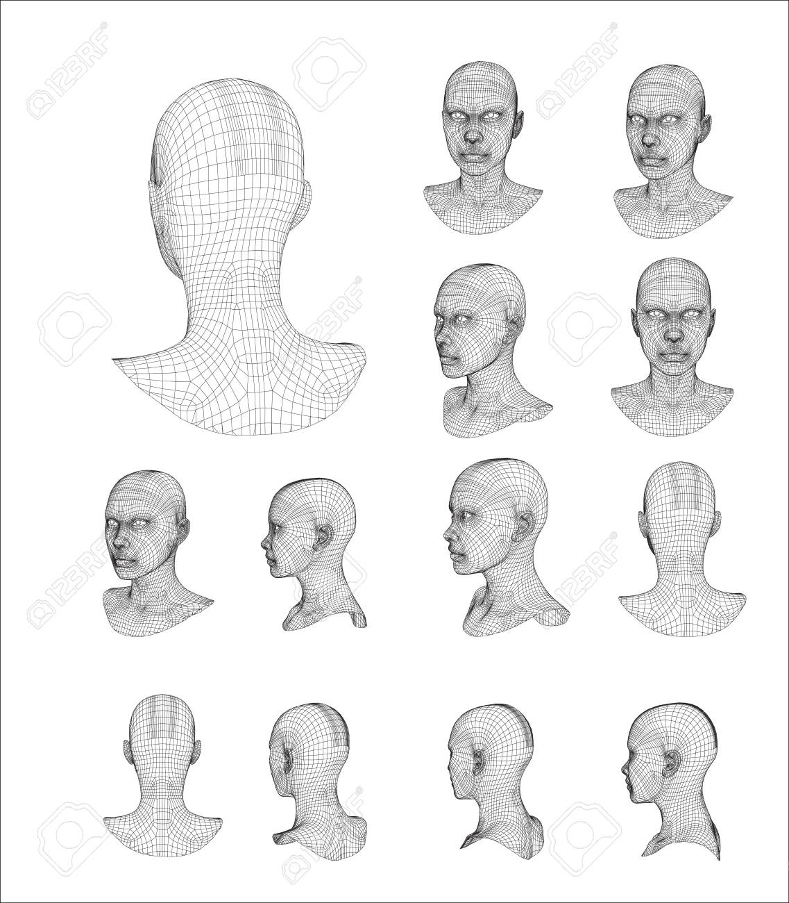 Wireframe Head 3d Model Vector Illustration Royalty Free Cliparts Vectors And Stock Illustration Image Wireframe Head 3d Model Vector Illustration Royalty Free Cliparts Vectors And Stock Illustration Image