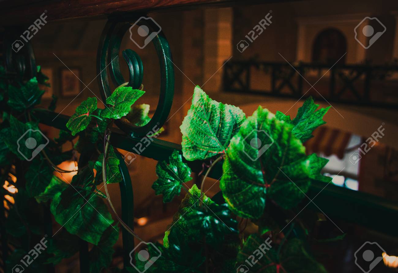 etiam-dictum-ipsum-a-felis