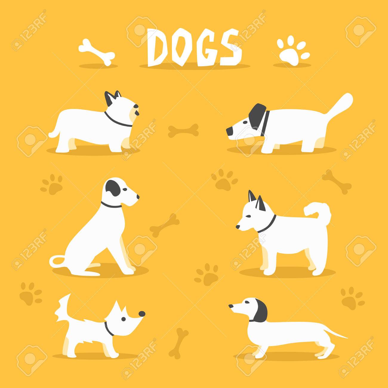 Achat Chiot De Race Acheter Chien De Race En France