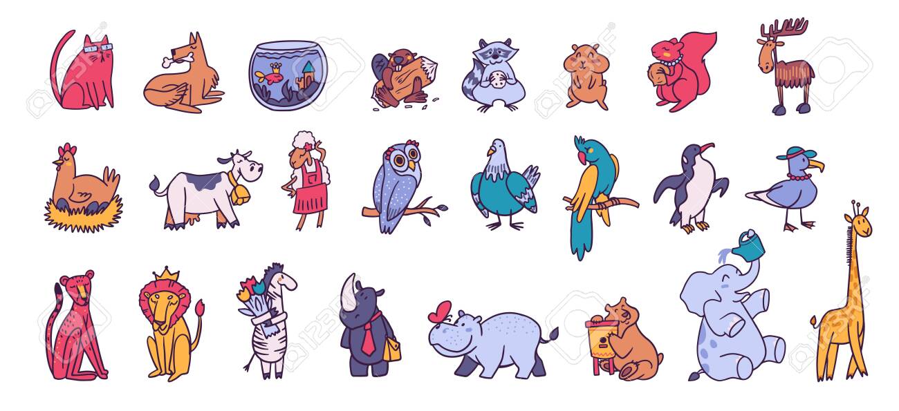 etiam-dictum-ipsum-a-felis