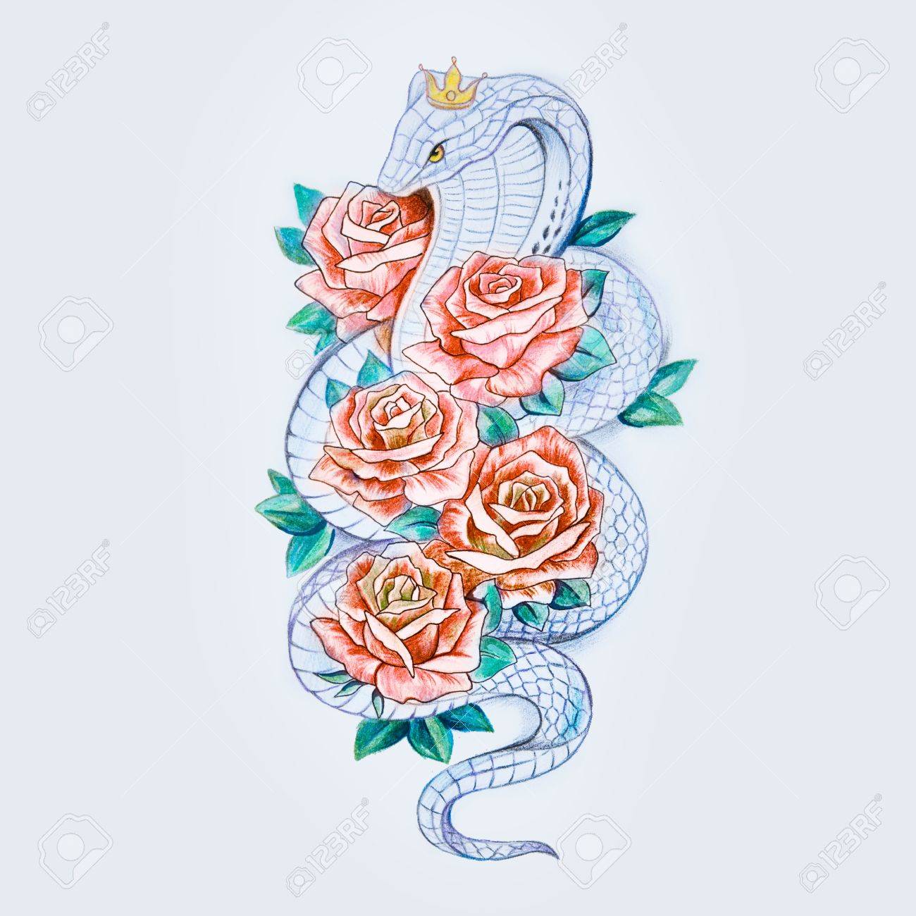 花与蛇 