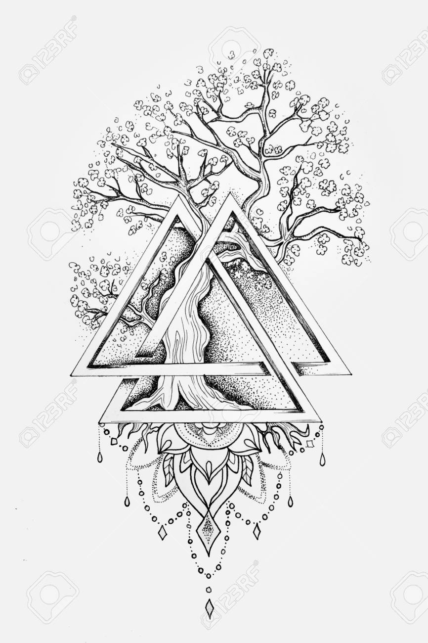 A Sketch Of A Beautiful Big Tree In A Triangle On A White Background