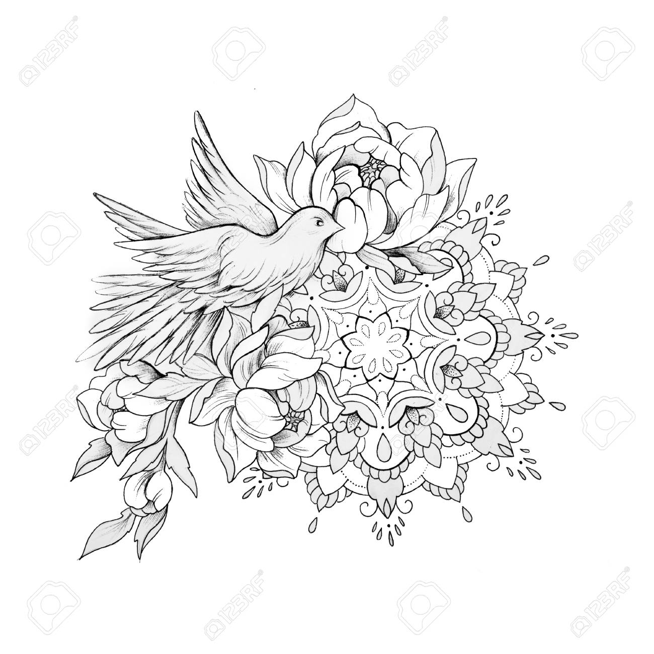 sketch of a bird