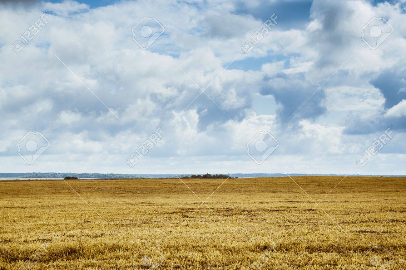 Background Field With Dry Grass On Plain Stock Photo Picture And Royalty Free Image Image