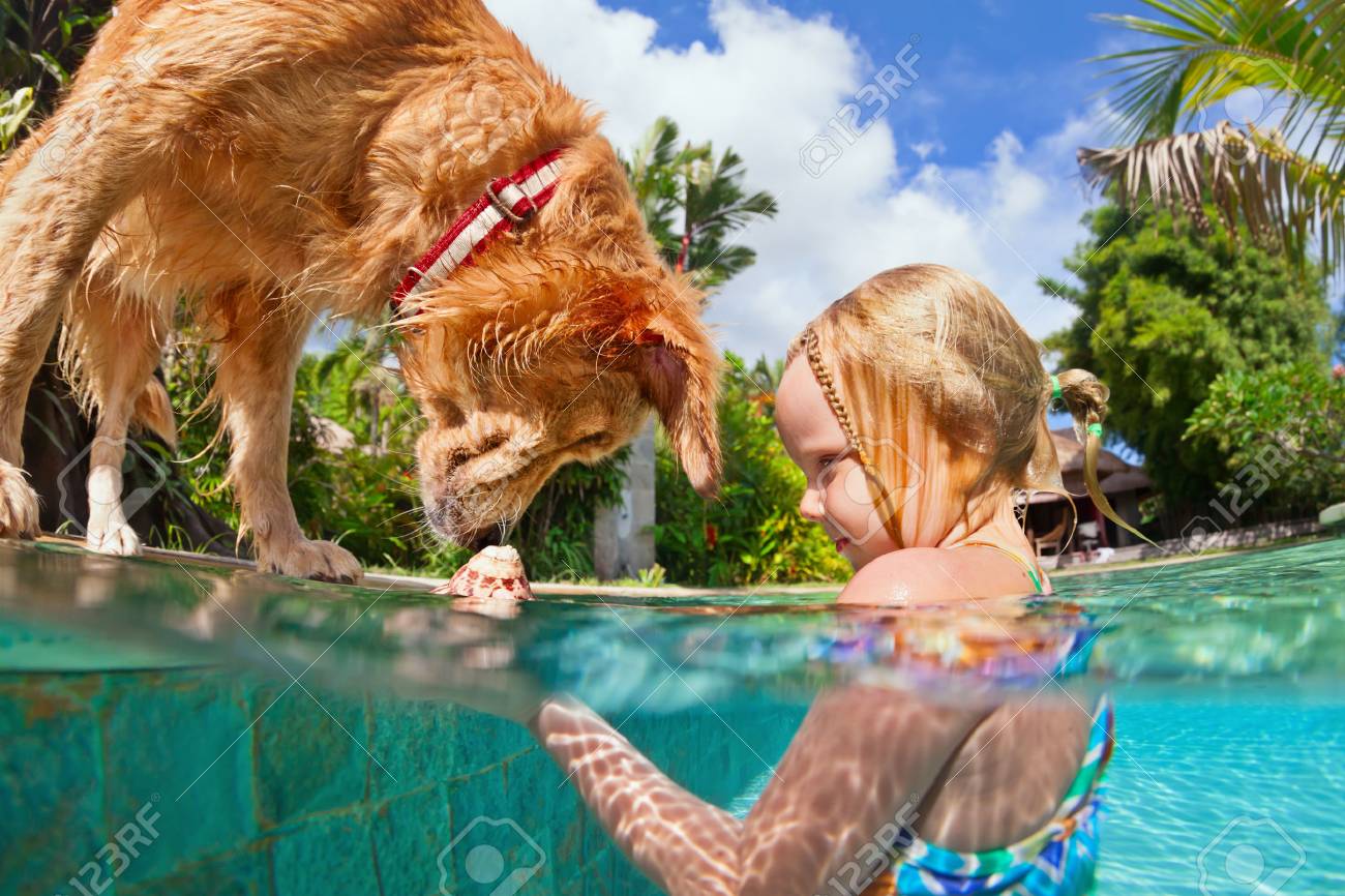 Smiley woman play with fun jump and dive Poster Reproduction of Underwater action training golden retriever puppy in swimming pool Active water games with family pet popular dog breed like Smiley woman play with fun jump and dive Poster Reproduction of Underwater action training golden retriever puppy in swimming pool Active water games with family pet popular dog breed like