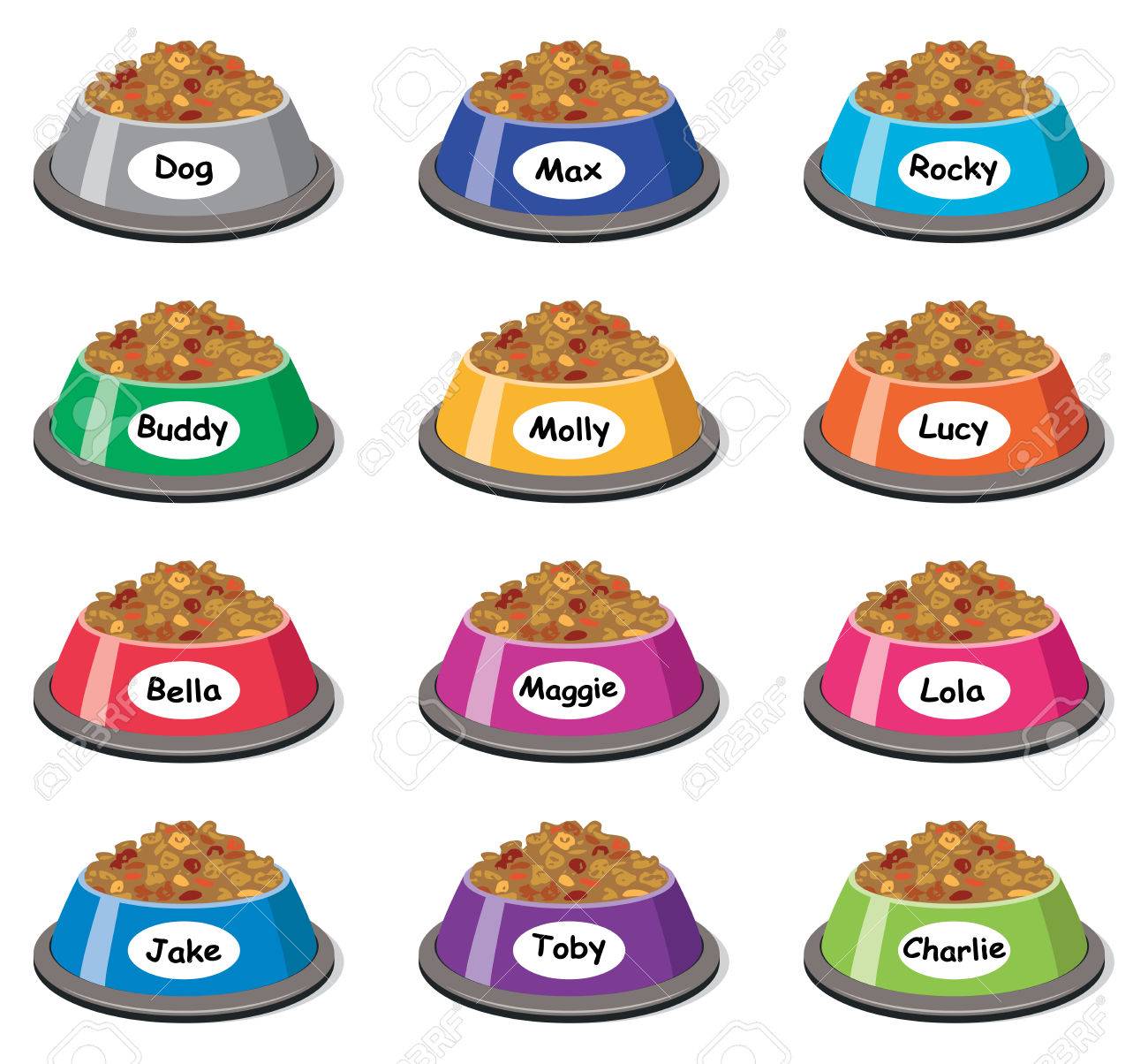 colorful dog bowls