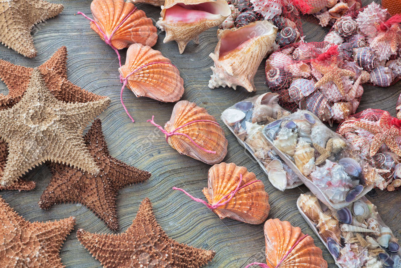 メキシコのカンクンでの美しいお土産貝殻を販売します の写真素材 画像素材 Image 3286 メキシコのカンクンでの美しいお土産貝殻を販売します の写真素材 画像素材 Image 3286