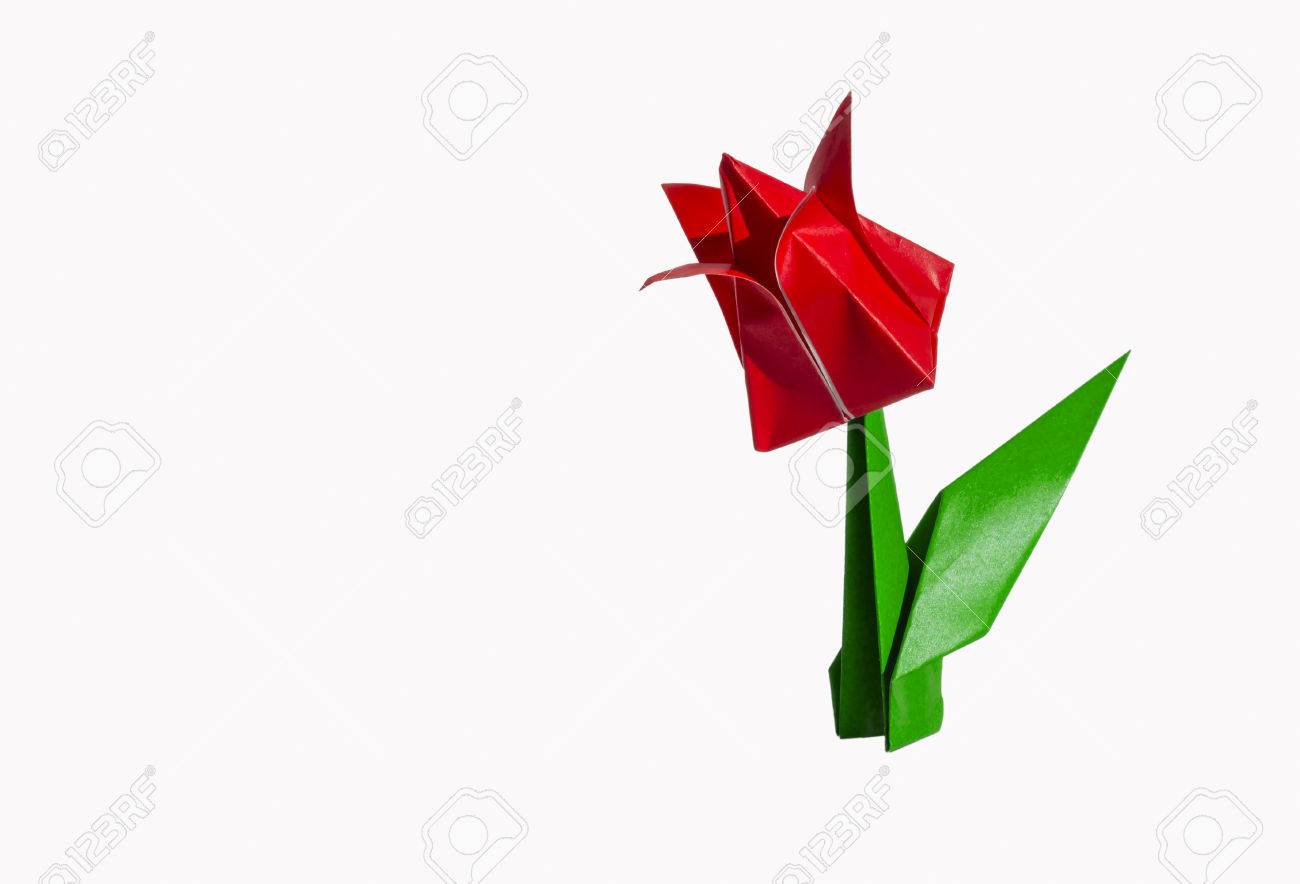Origami Tulip Flower The Tulip Is Isolated On White Background Stock Photo Picture And Royalty Free Image Image 39250753