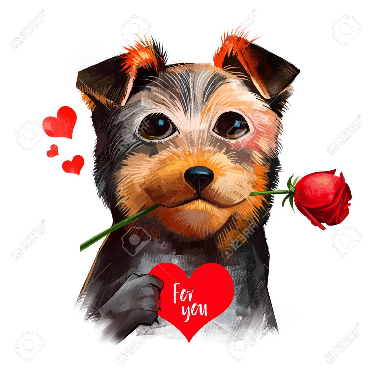 Hund Mit Blume Im Mund Und Herz Fur Sie Nettes Haustier Wunscht