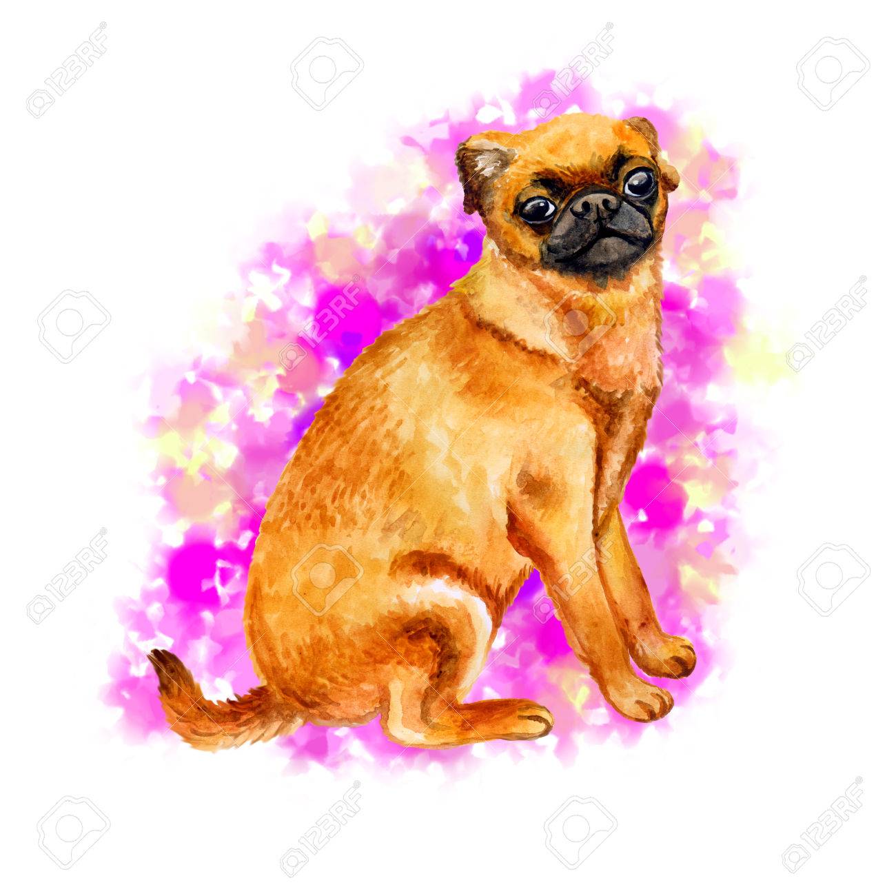 Watercolor Closeup Portrait Of Cute Petit Brabancon Breed Dog