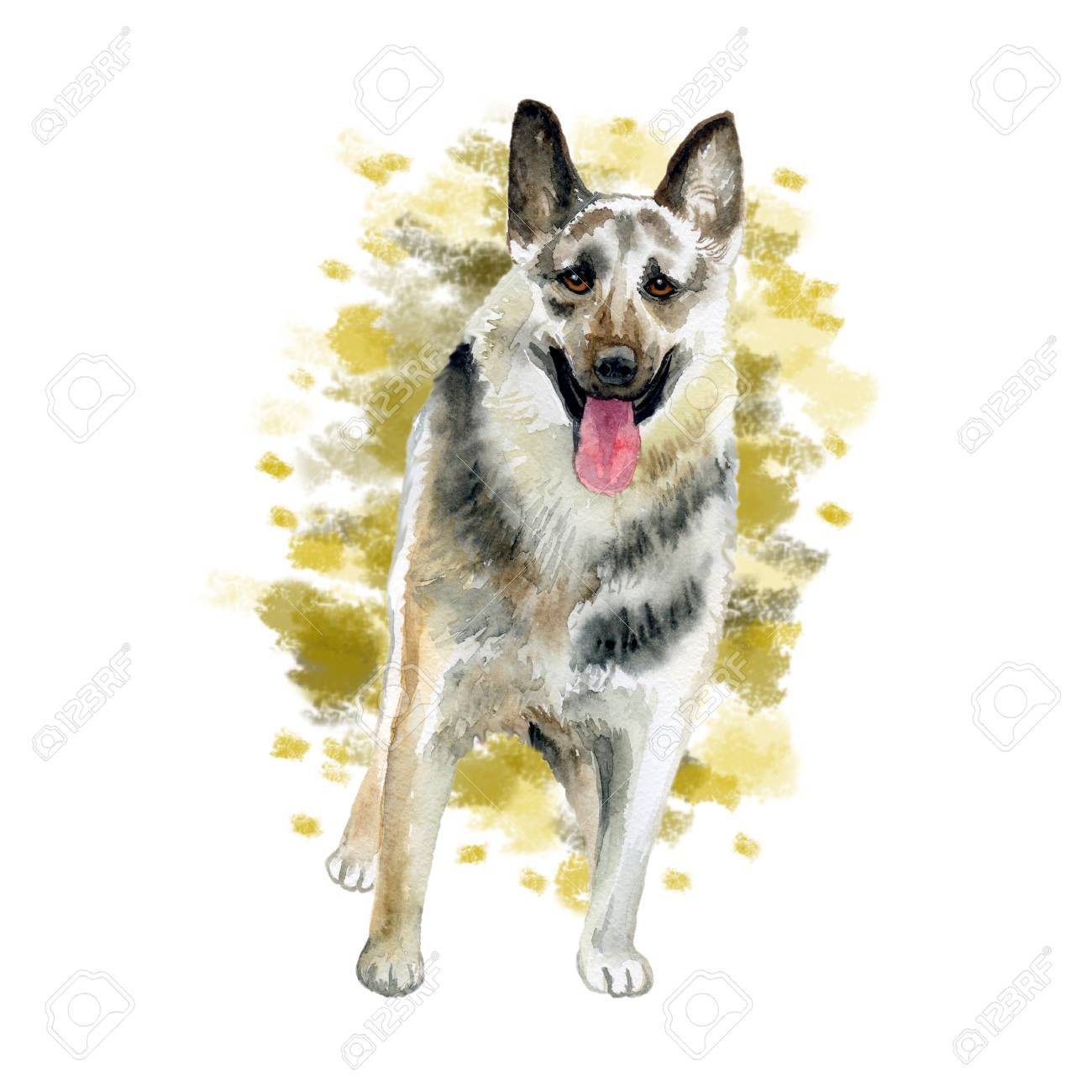 Aquarelle Agrandi Portrait De Grand Chien De Race De Berger Est Européen Isolé Sur Fond Abstrait Grand Chien De Travail à Poil Long Dessiné à La