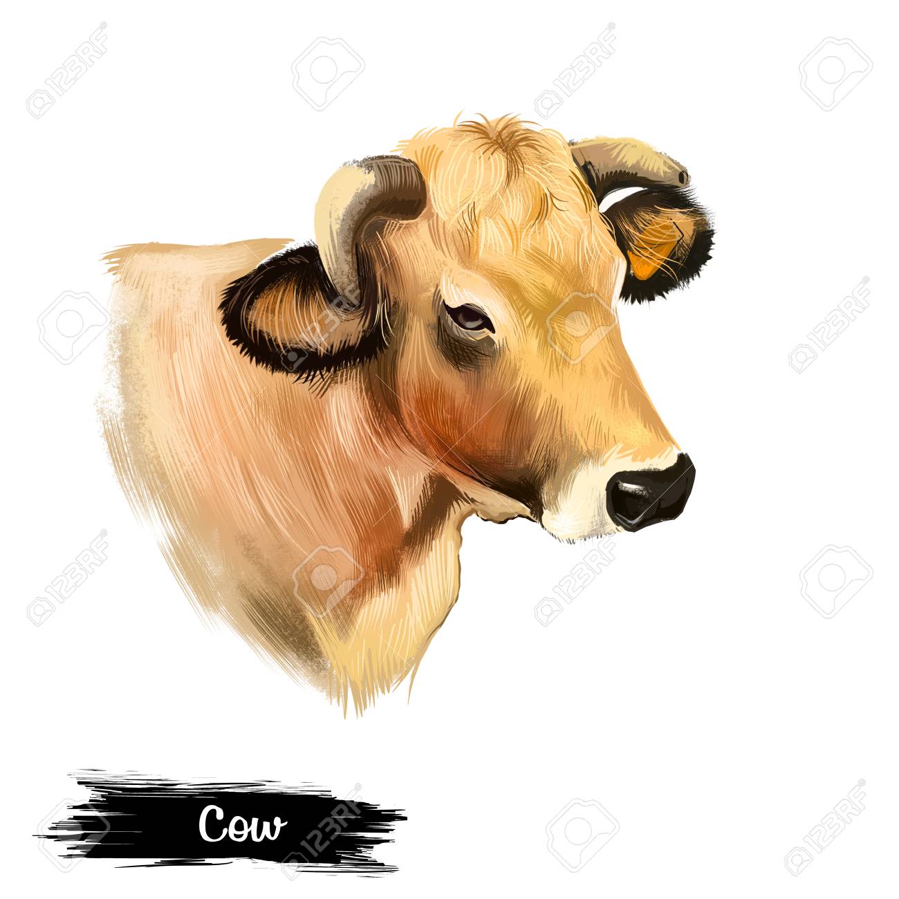 白い背景デジタルアートのイラストに孤立した牛の頭 ミルクをもたらす家庭の茶色の若い動物 家畜の脊椎動物 牛肉の顔 中国の星占いの牛のシンボル 農業の概念 の写真素材 画像素材 Image 85898826
