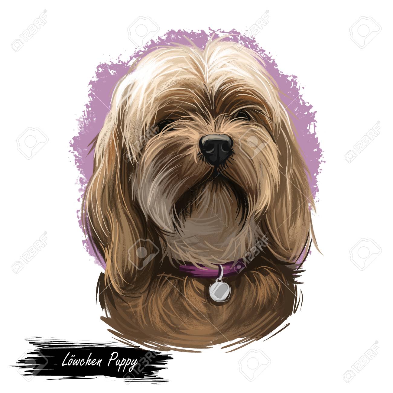 Lowchen Puppy Doggy Petit Chien Lion Digital Art French Originated