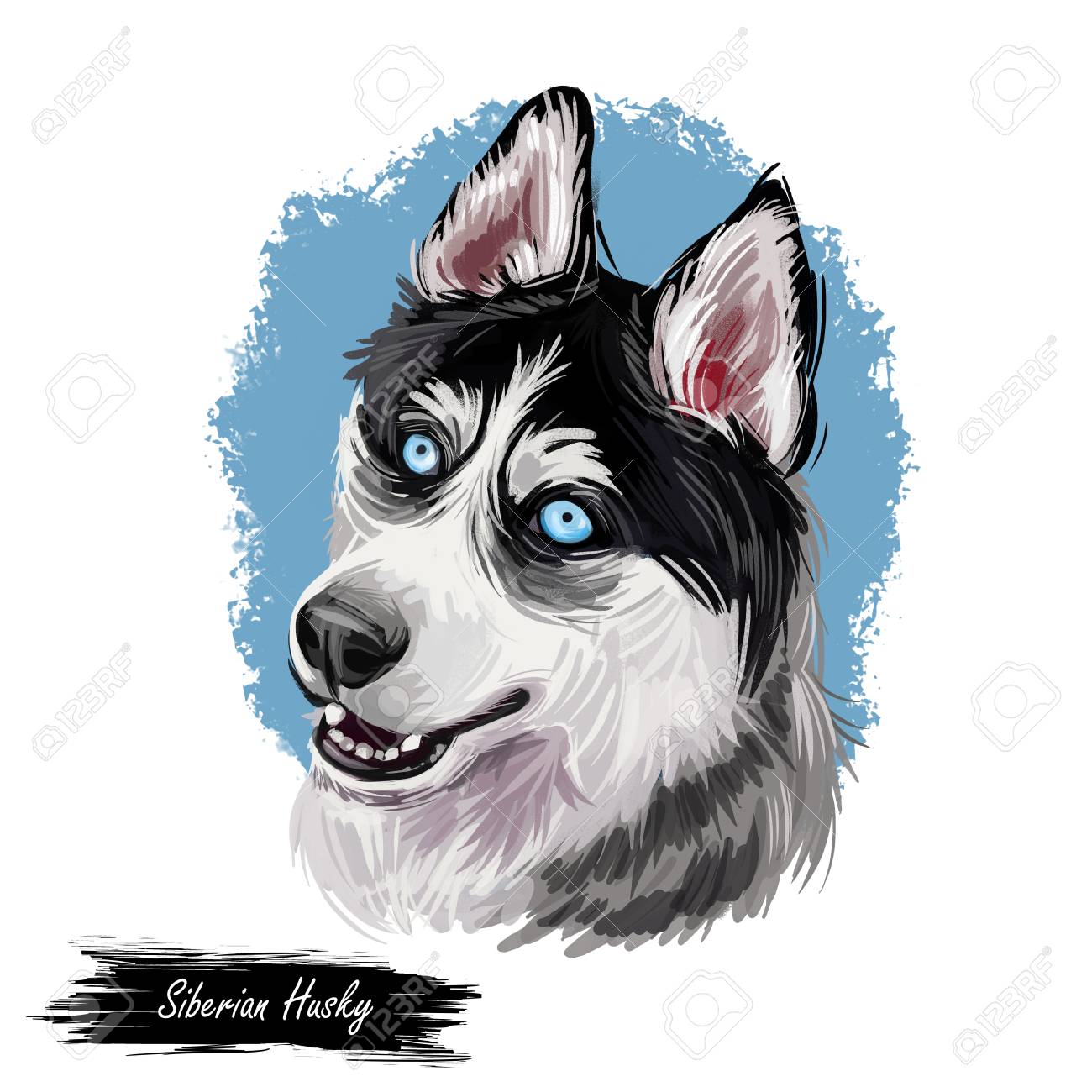 husky art