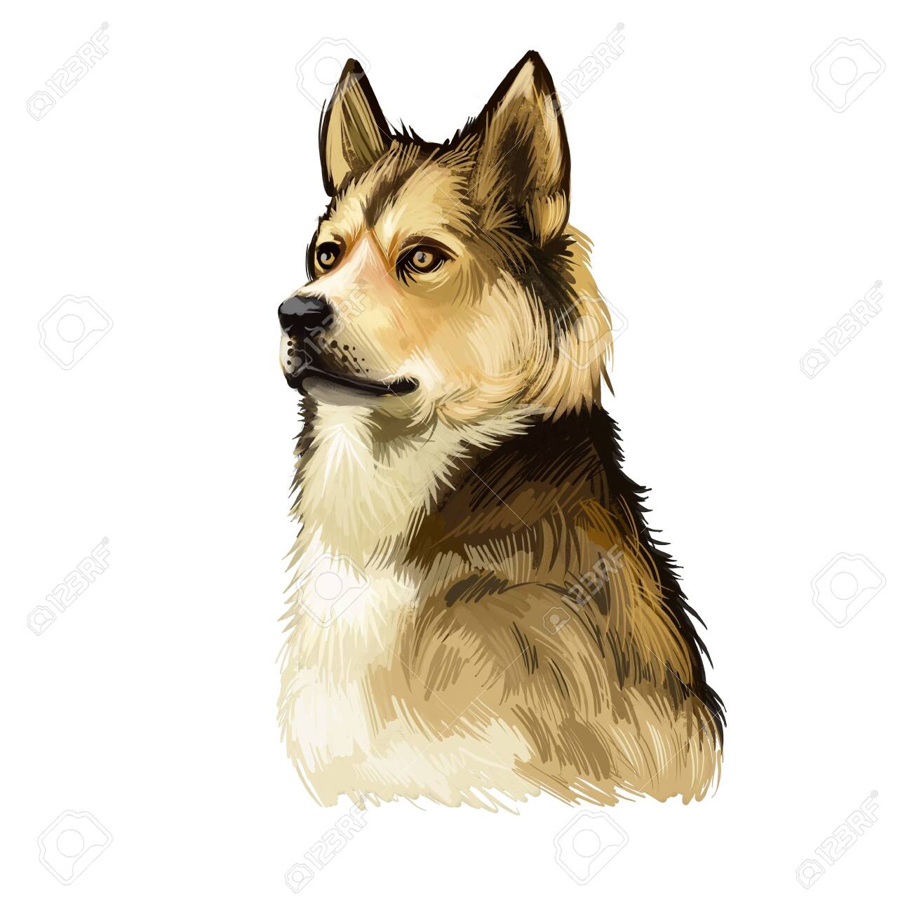 ライフルペーパー　ドッグデイズ　犬のイラストの絵 警察犬のテーマ画像 1 - Eps10 のベクトル図です。のイラスト