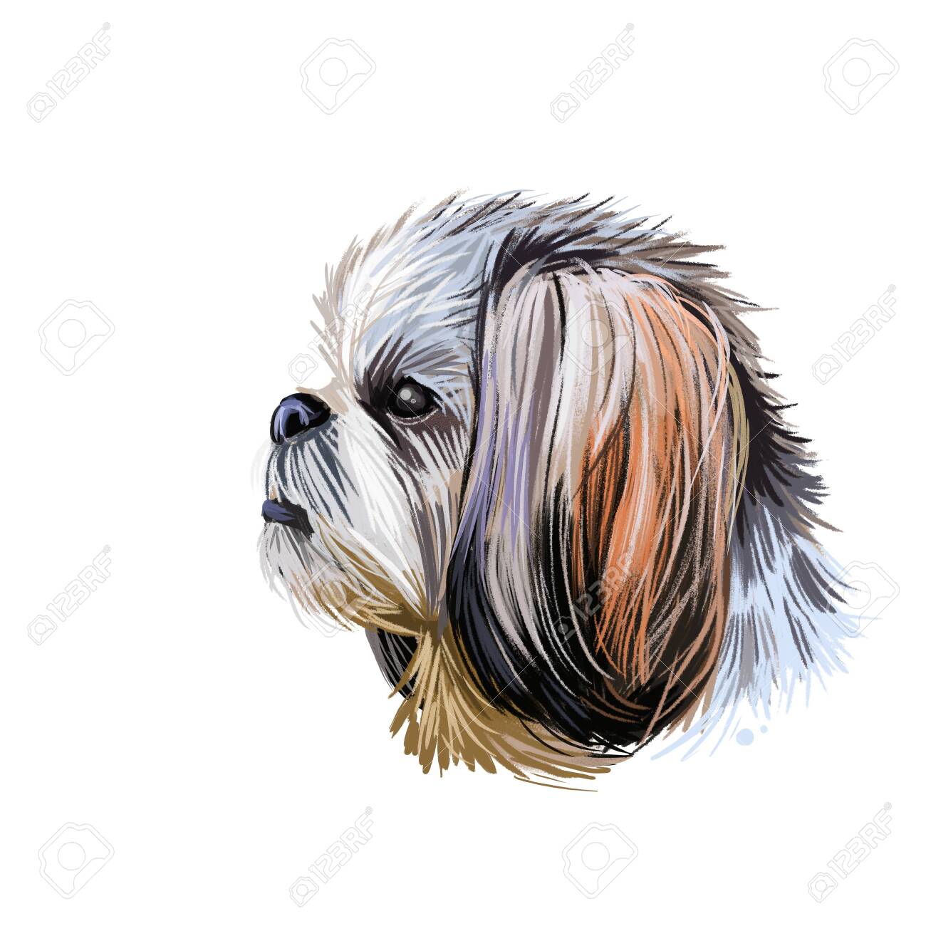 Chrysanthemum Engraved Dog Acrylic Mirror Shih Tzu