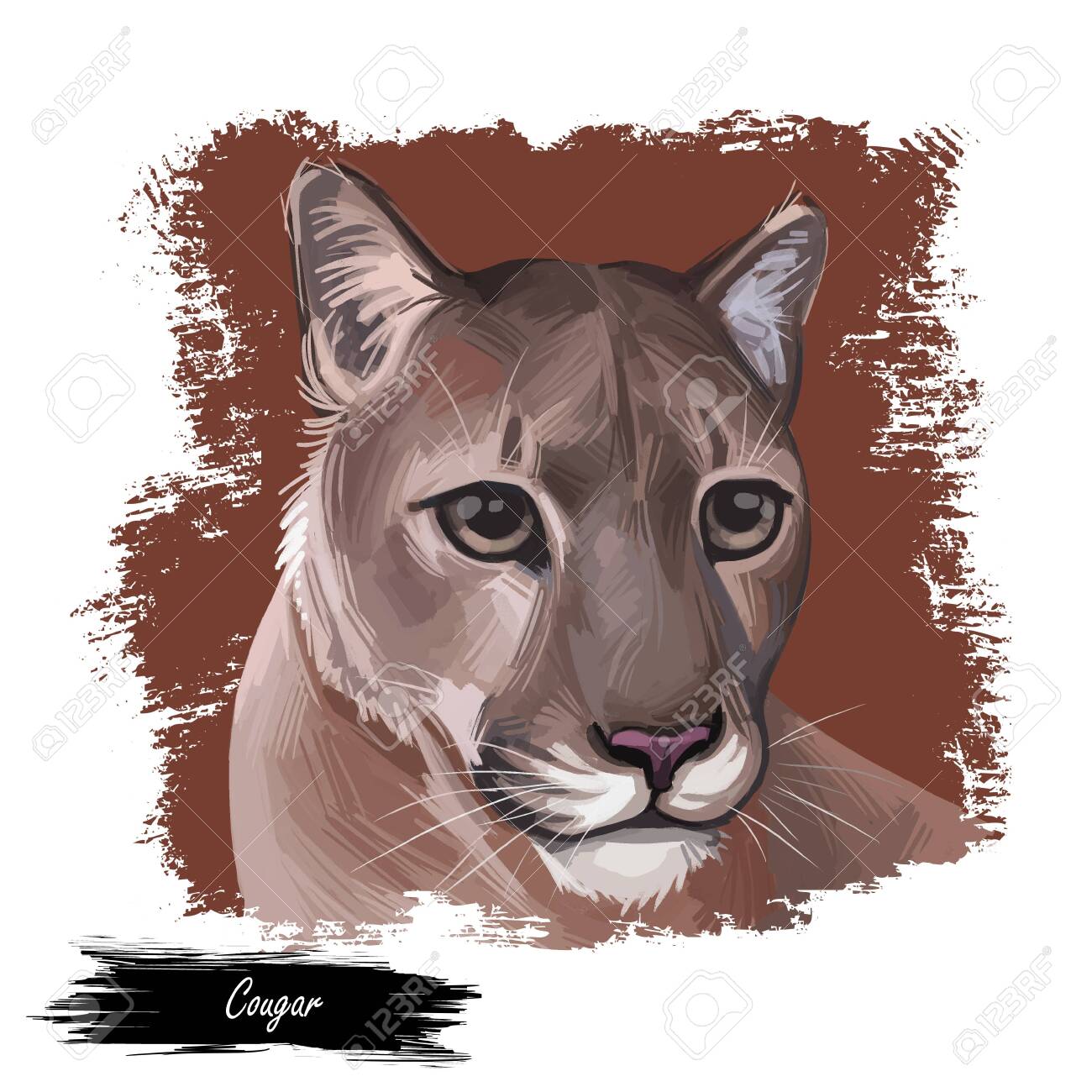 puma cat art