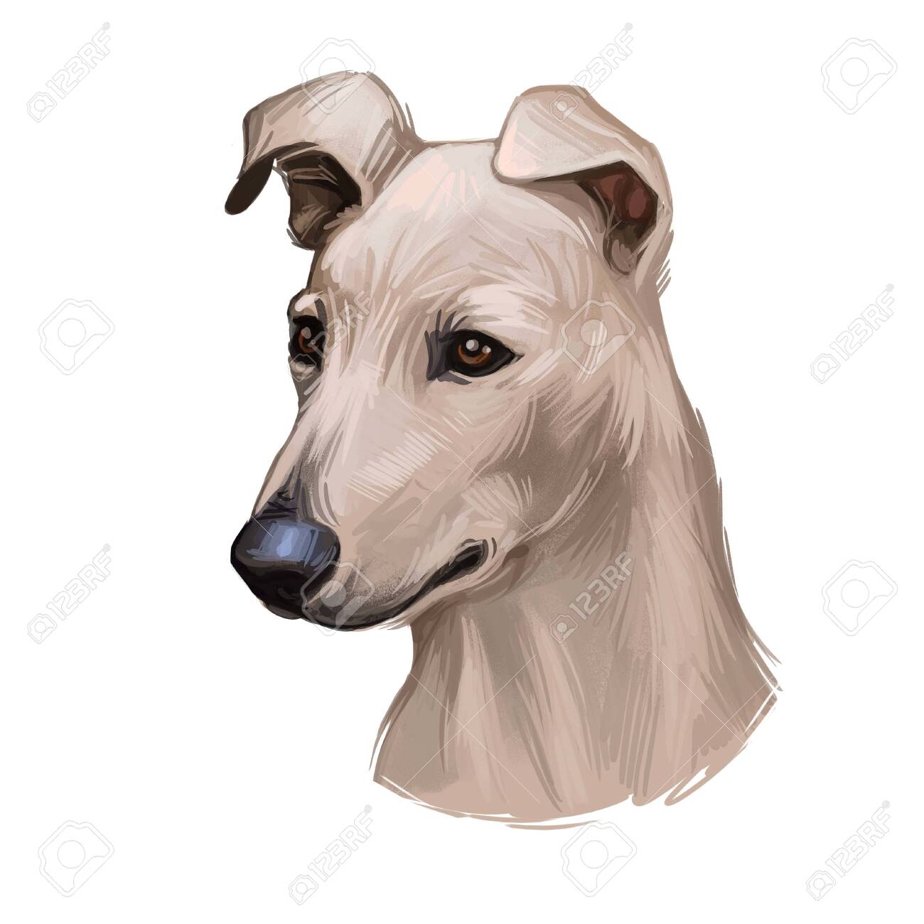 lurcher muzzle