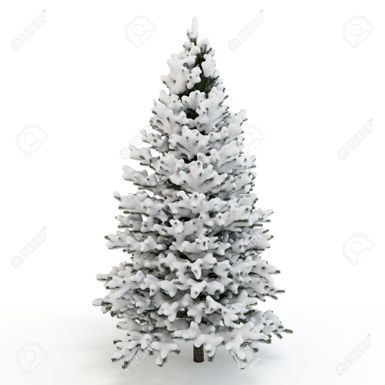 3d pine tree full of snow on white background stock photo picture