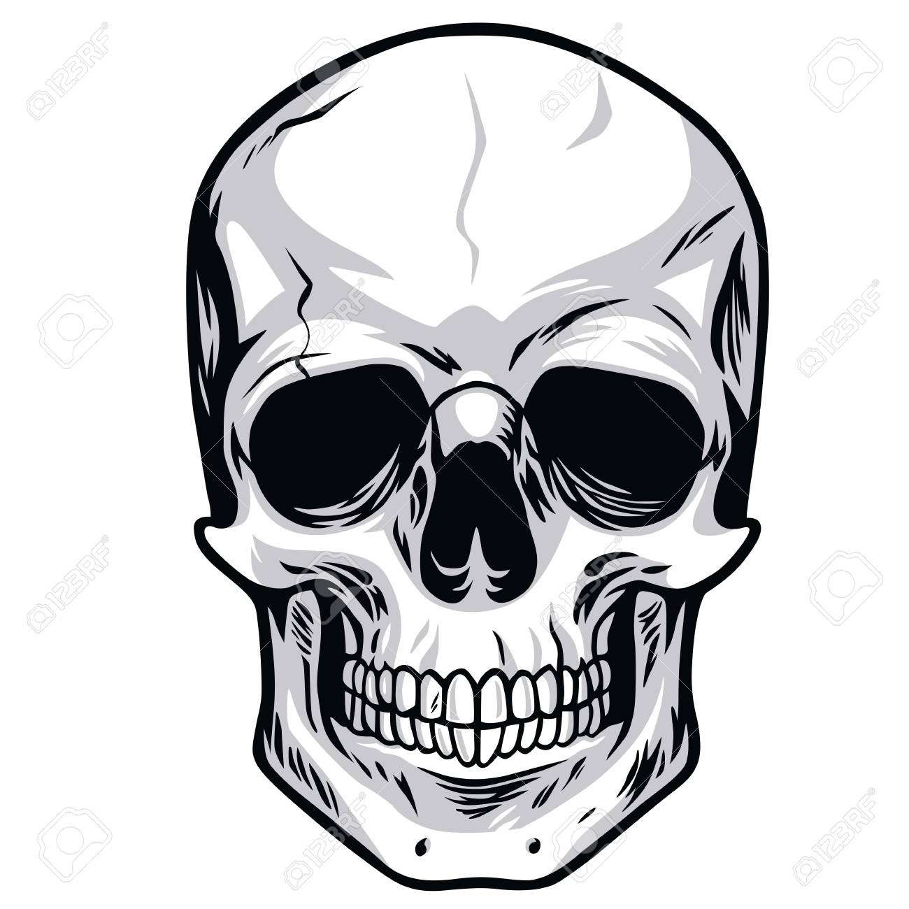Skull Vector Art Illustrations Royalty Free Cliparts Vectors And Stock Illustration Image 59853336