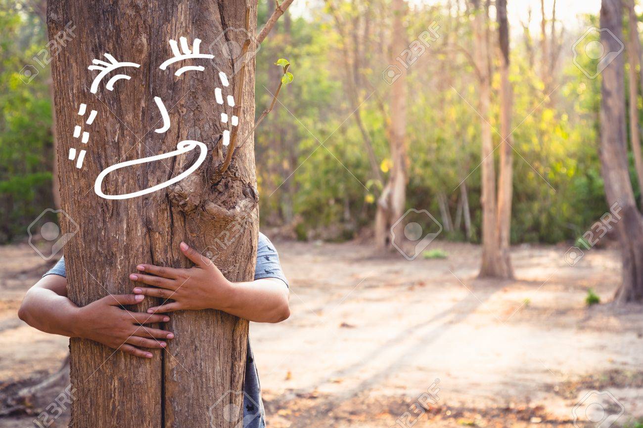 save forest concept woman give a hug to soothe the crying tree