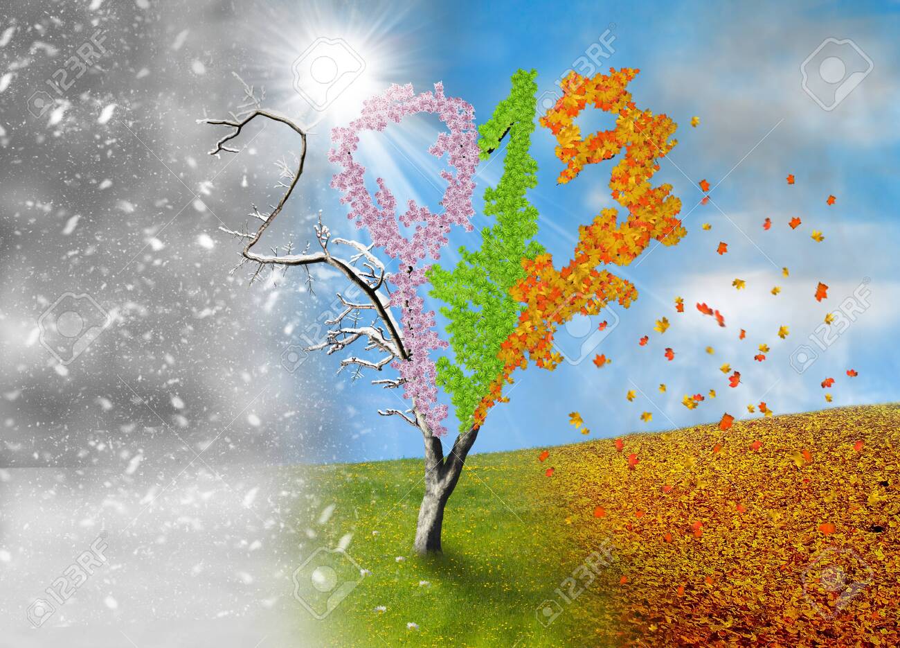 Four season tree in a shape of year 2019 - 133453233 Four season tree in a shape of year 2019 - 133453233