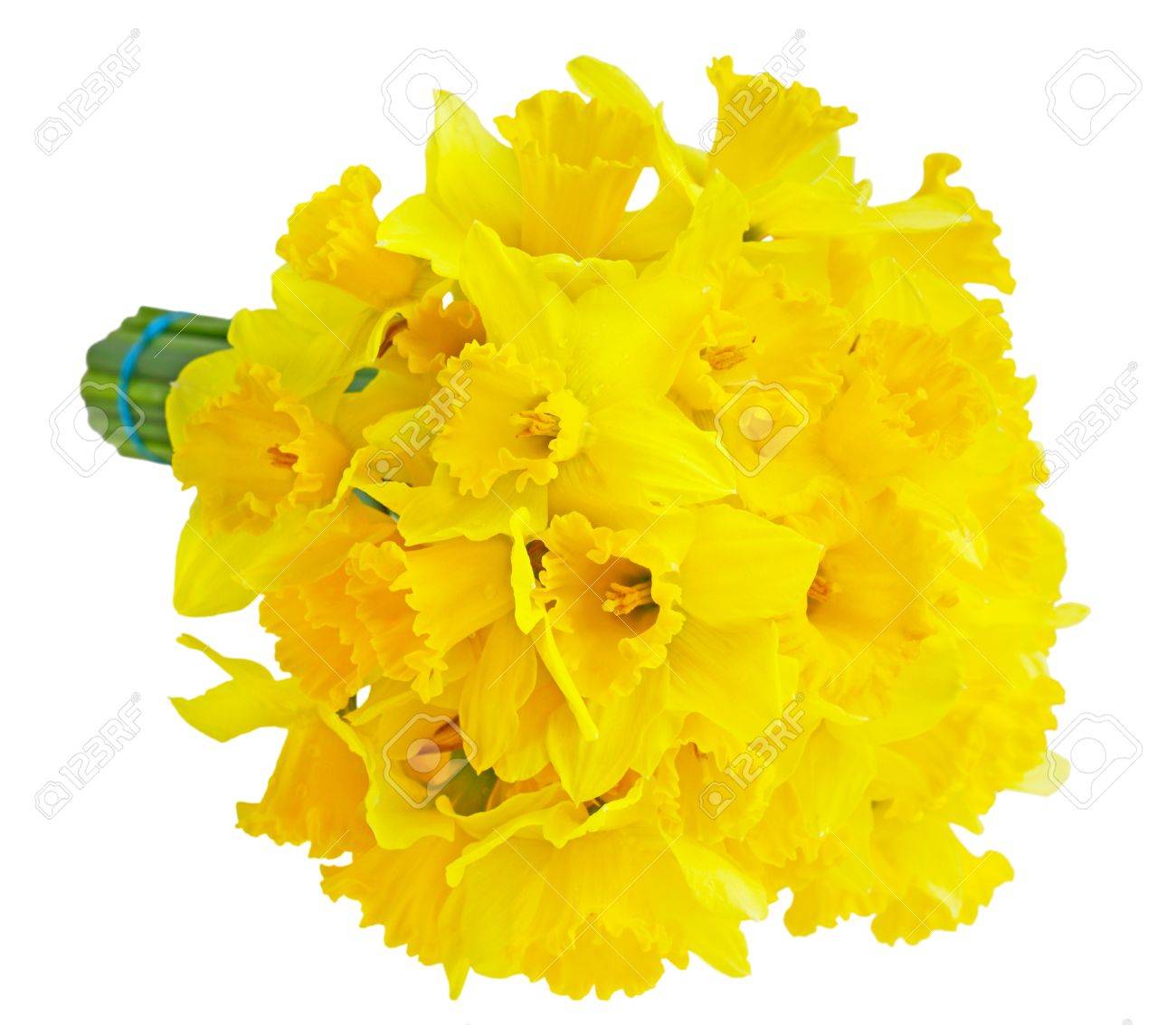 Narcisse Jonquille Careme Lily Bouquet De Fleurs Isole Sur Blanc Banque D Images Et Photos Libres De Droits Image