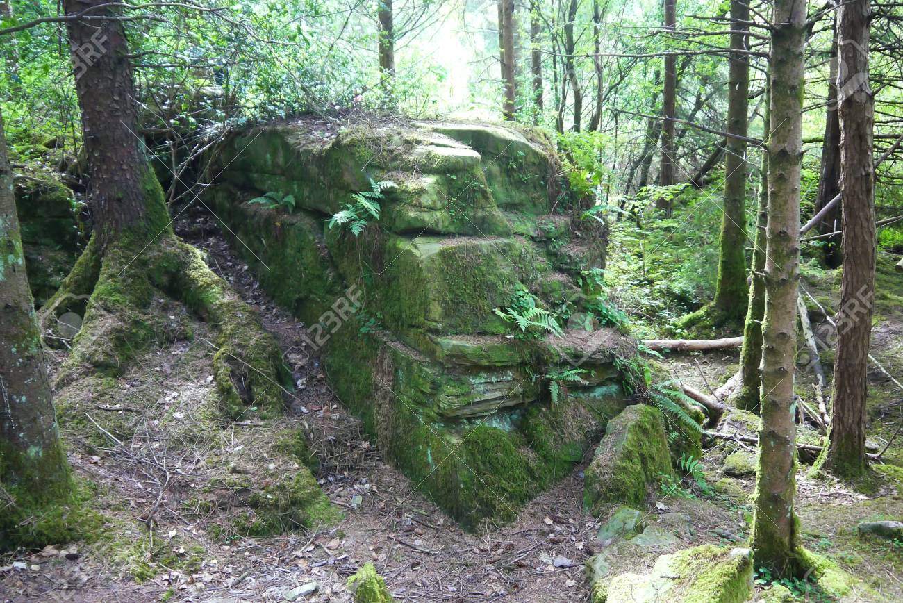 スコットランドの森の神殿の実行 の写真素材 画像素材 Image