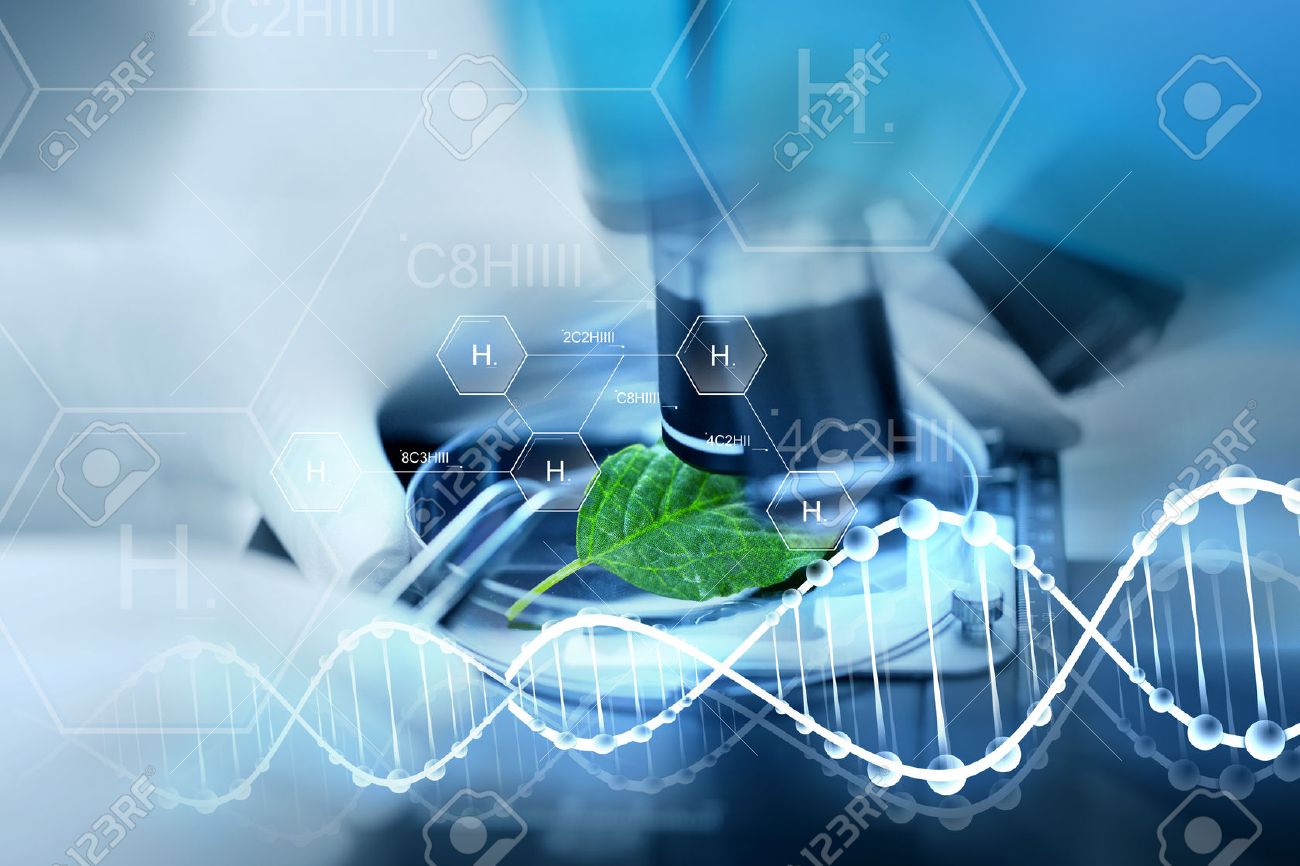 science chemistry biology and people concept close up of stock