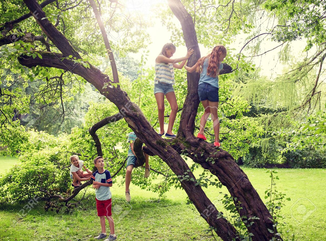 friendship, childhood, leisure and people concept - group of happy kids or friends climbing up tree and having fun in summer park - 139023567 friendship, childhood, leisure and people concept - group of happy kids or friends climbing up tree and having fun in summer park - 139023567