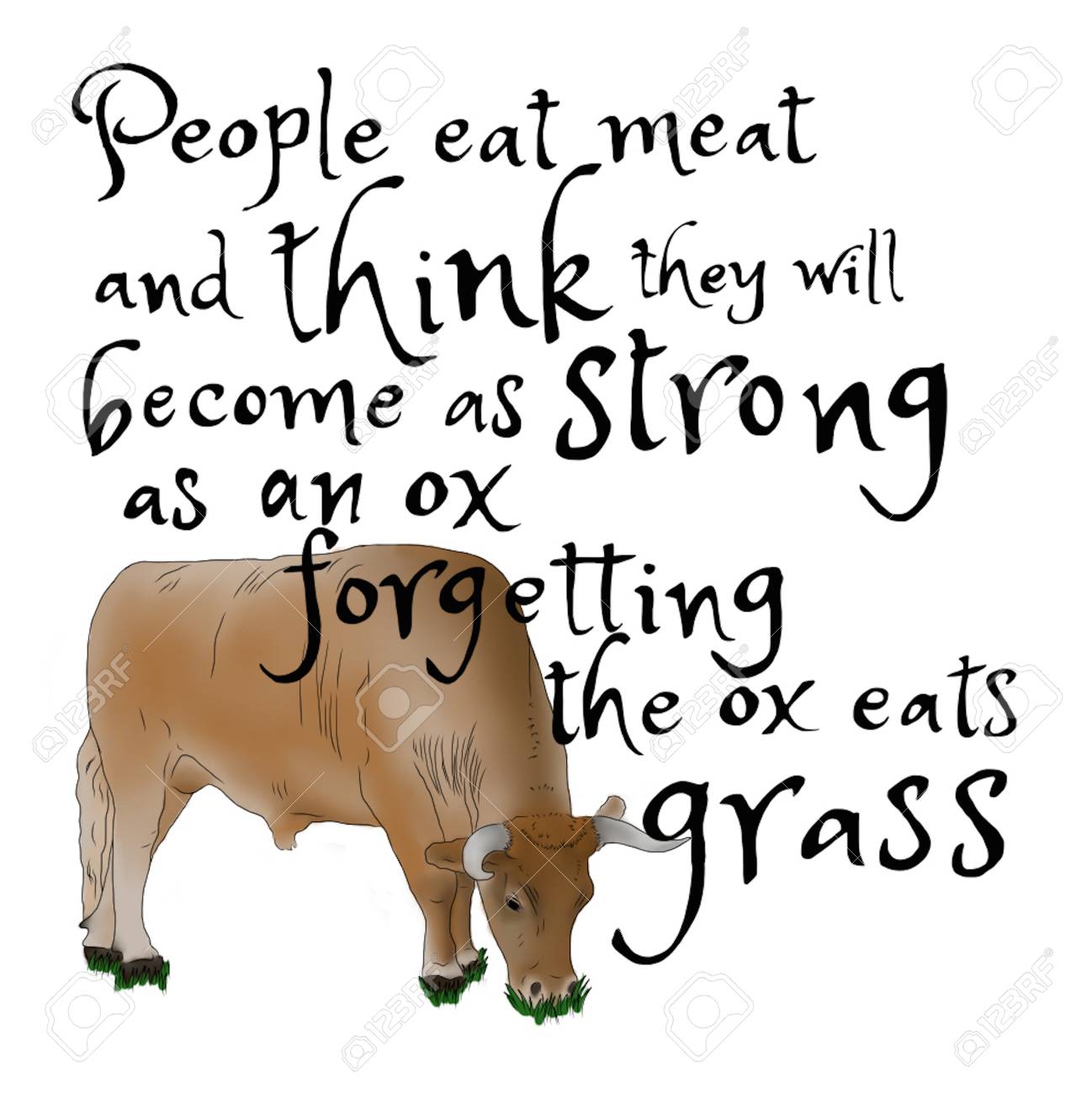 People Eat Meat And Think They Will Become As Strong As An Ox Forgetting The Ox Eats Grass Stock Photo Picture And Royalty Free Image Image 115411791