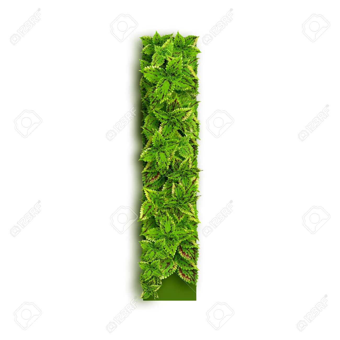 green letter i