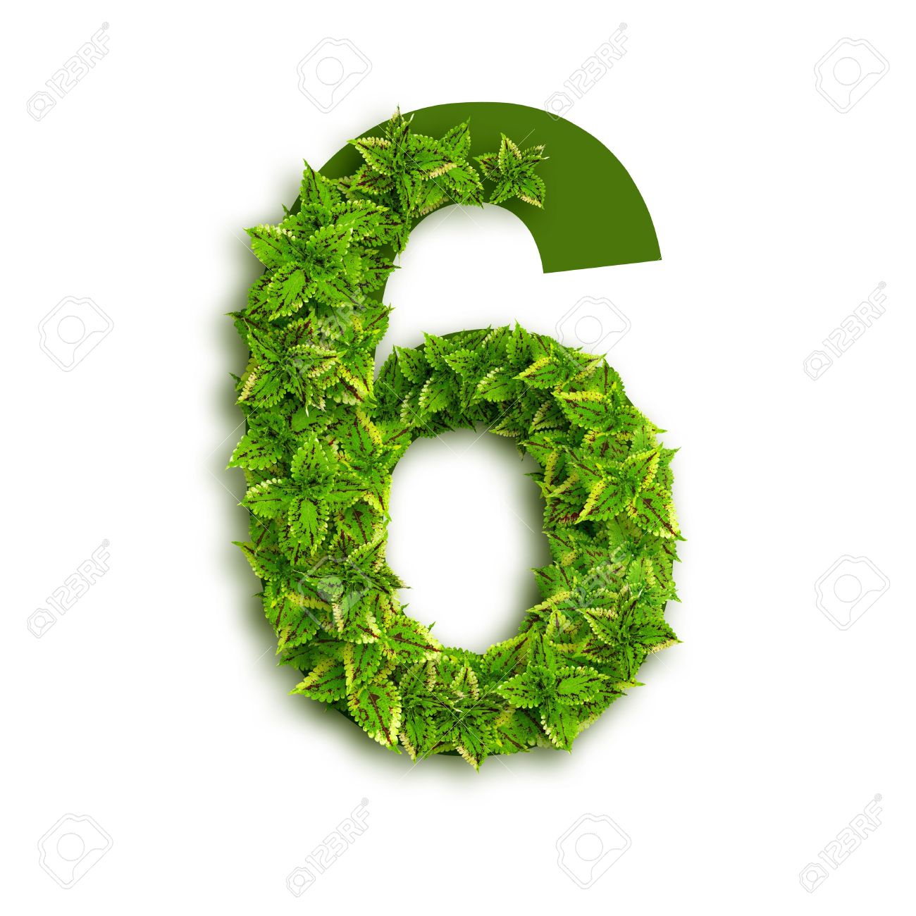 https://previews.123rf.com/images/domdeen/domdeen1209/domdeen120900050/15402900-Number-6-alphabet-of-green-leaves-isolated-on-white-background--Stock-Photo.jpg