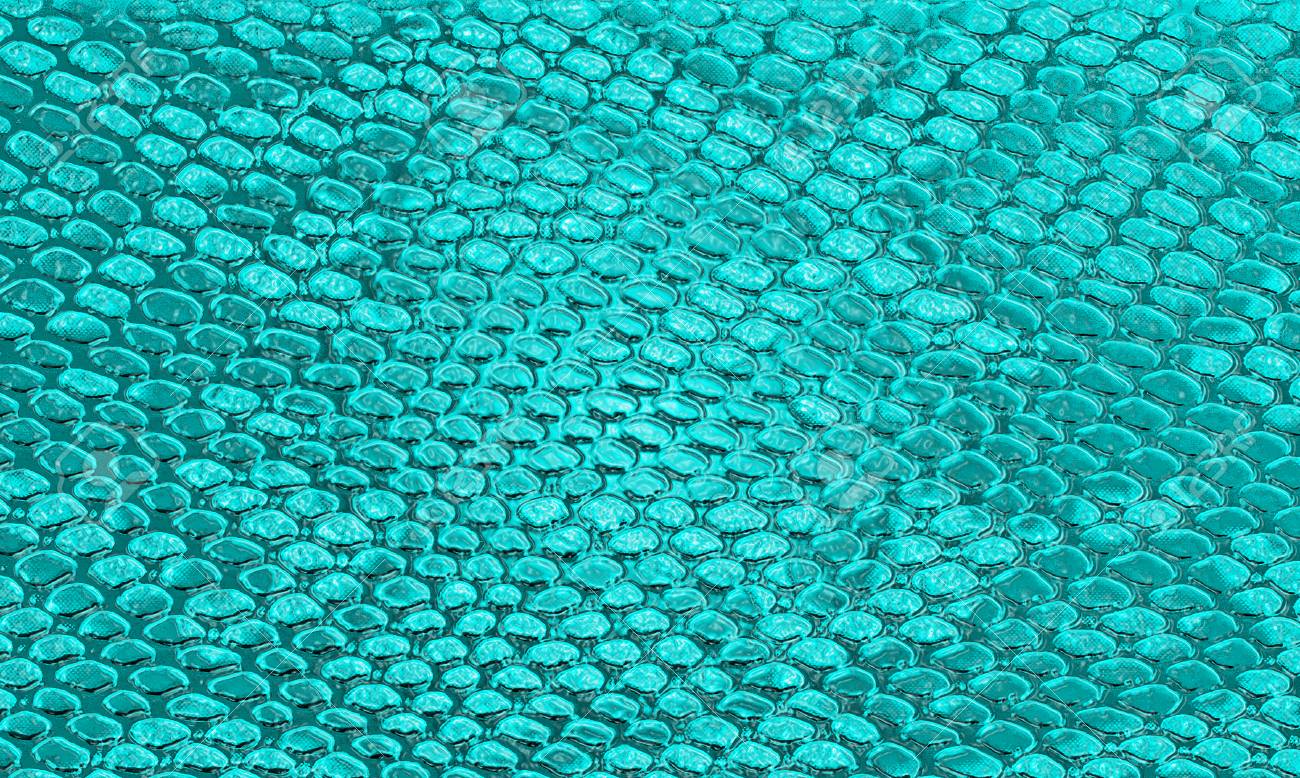 Texture De Peau De Serpent Bleu Peut Utiliser Comme Arriere Plan Banque D Images Et Photos Libres De Droits Image Texture De Peau De Serpent Bleu Peut Utiliser Comme Arriere Plan Banque D Images Et Photos Libres De Droits Image