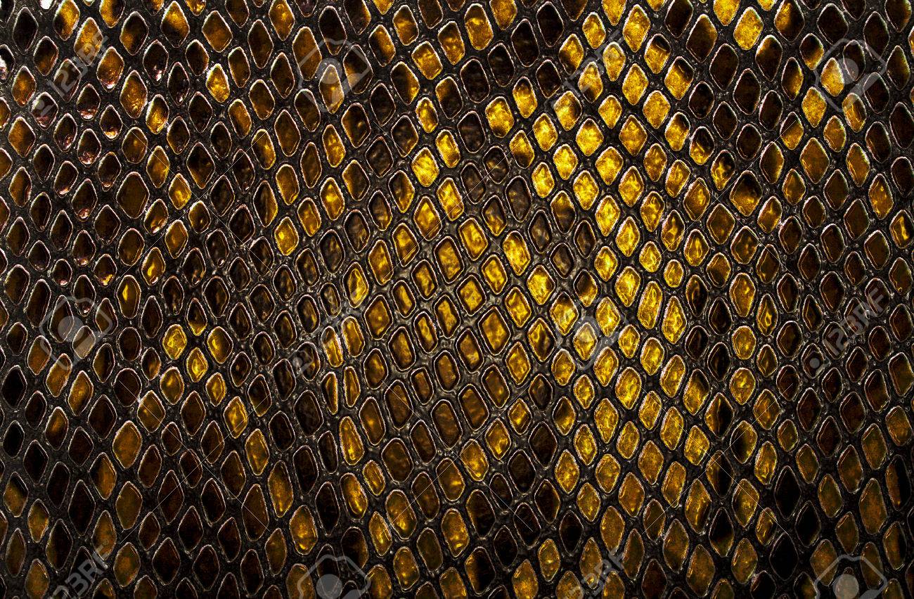 Snake Skin Snake Meat Jerky