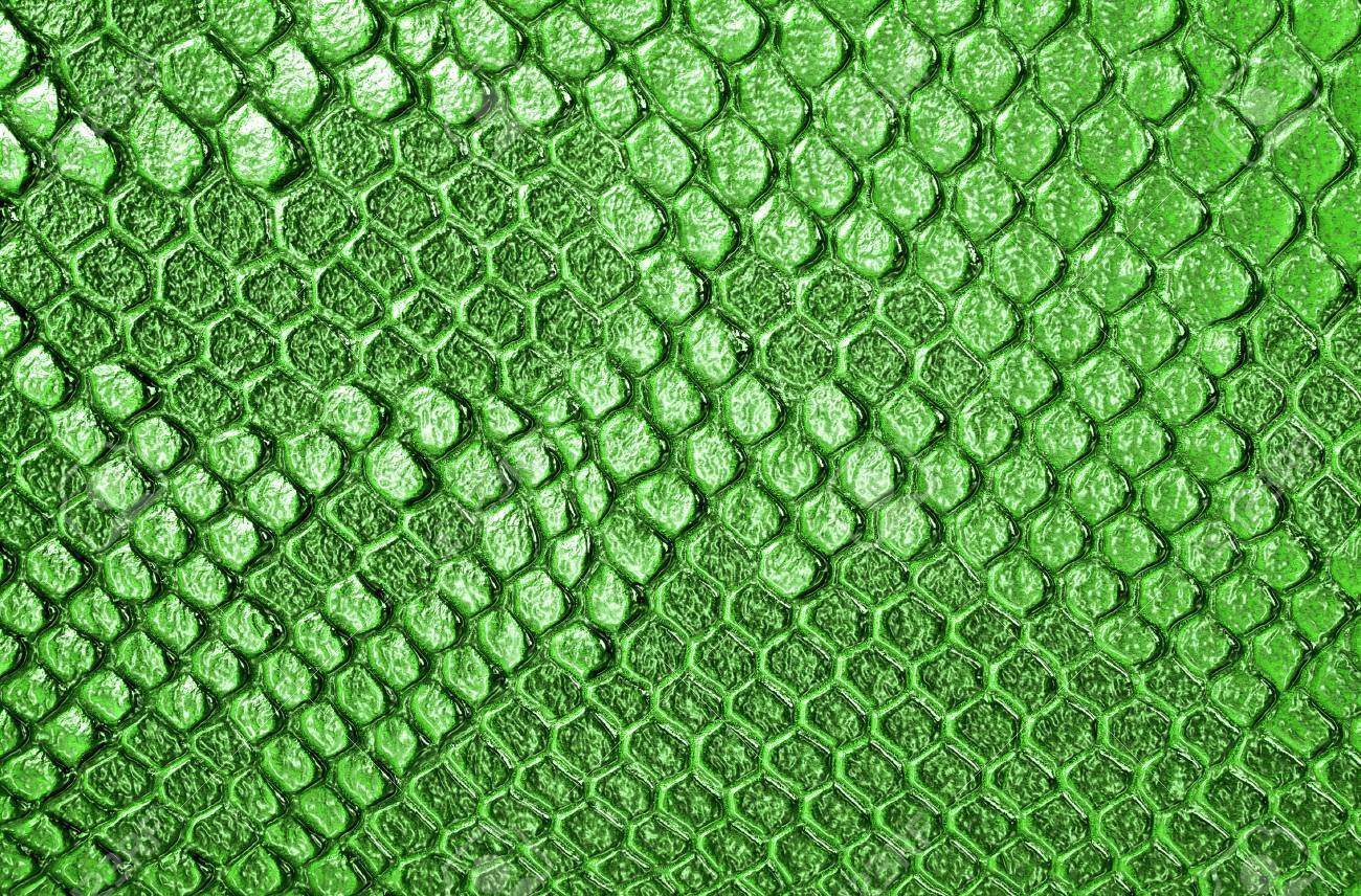 green snake print