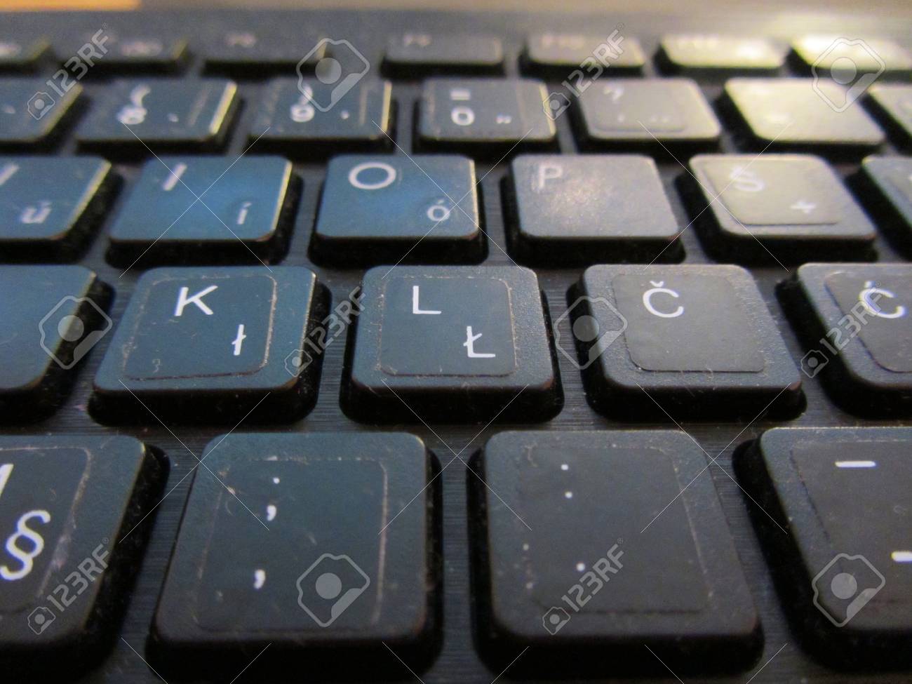 etiam-dictum-ipsum-a-felis