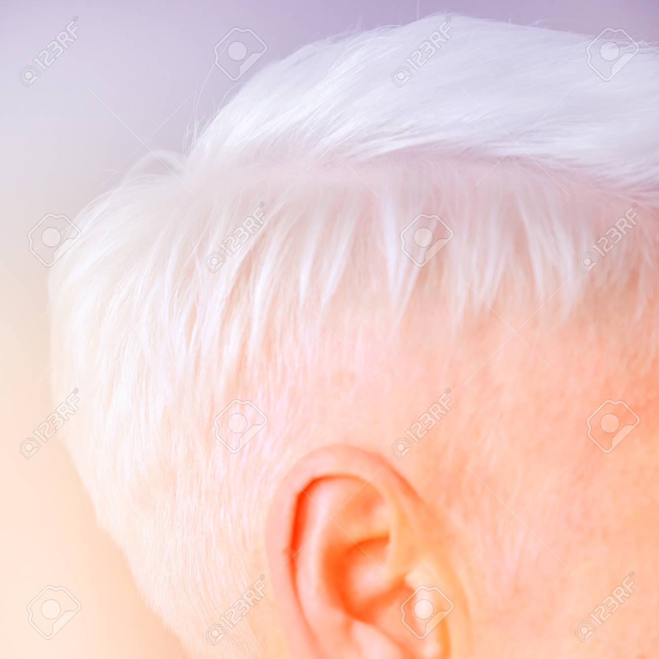 Stock Photo