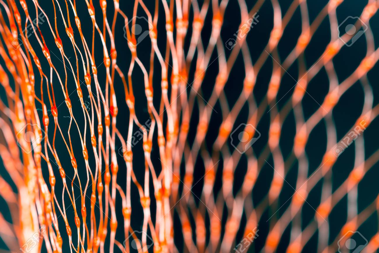 etiam-dictum-ipsum-a-felis