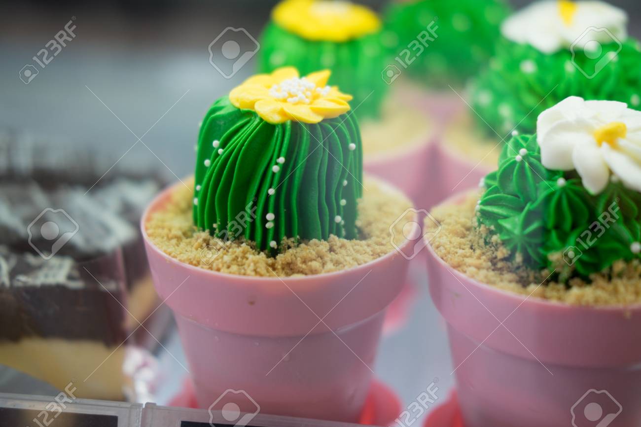 Cactus De Fleur En Forme De Gateau Savoureux Dans Un Magasin De Bonbons Maison Banque D Images Et Photos Libres De Droits Image