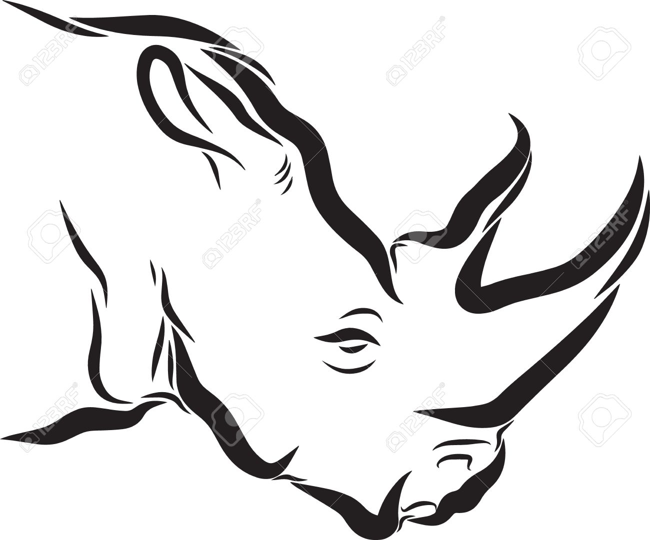 Line Art Drawing Illustration Of A Rhinoceros Head Stock Photo, Picture and  Royalty Free Image. Image 25234510., image size:1300x1081