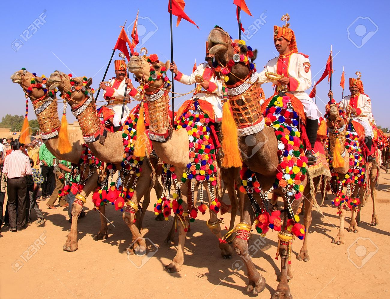 Camel Procession At Desert Festival Jaisalmer Rajasthan India Stock Photo Picture And Royalty Free Image Image 32534675